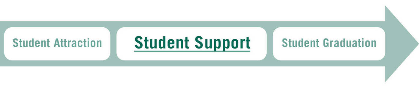 Continuum arrow support