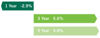 Endowment portfolio performance